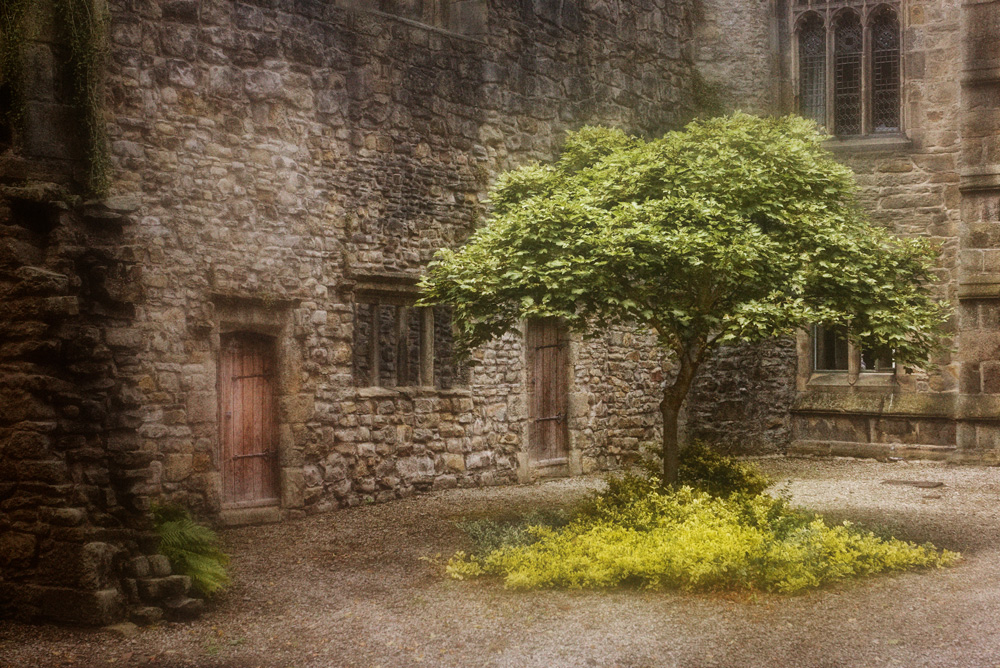 TREE GALLERY