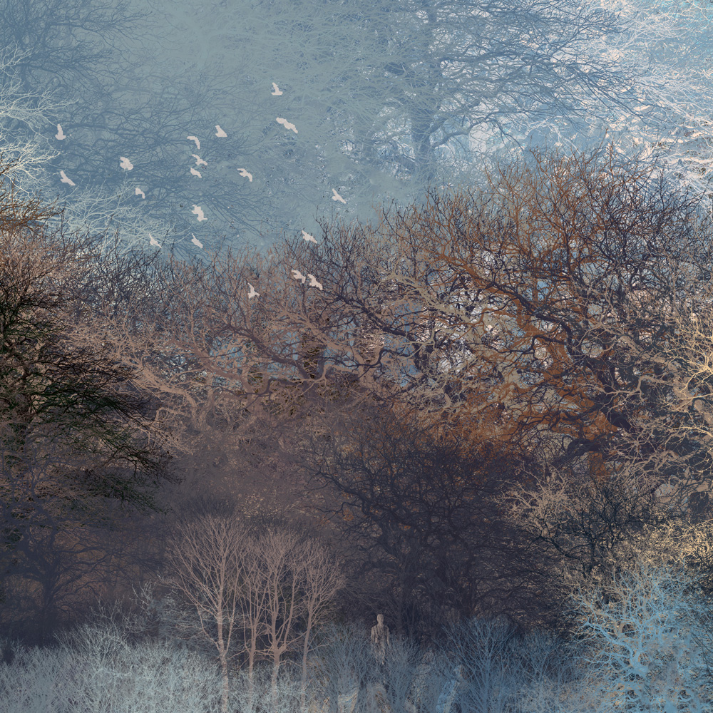 TREE GALLERY