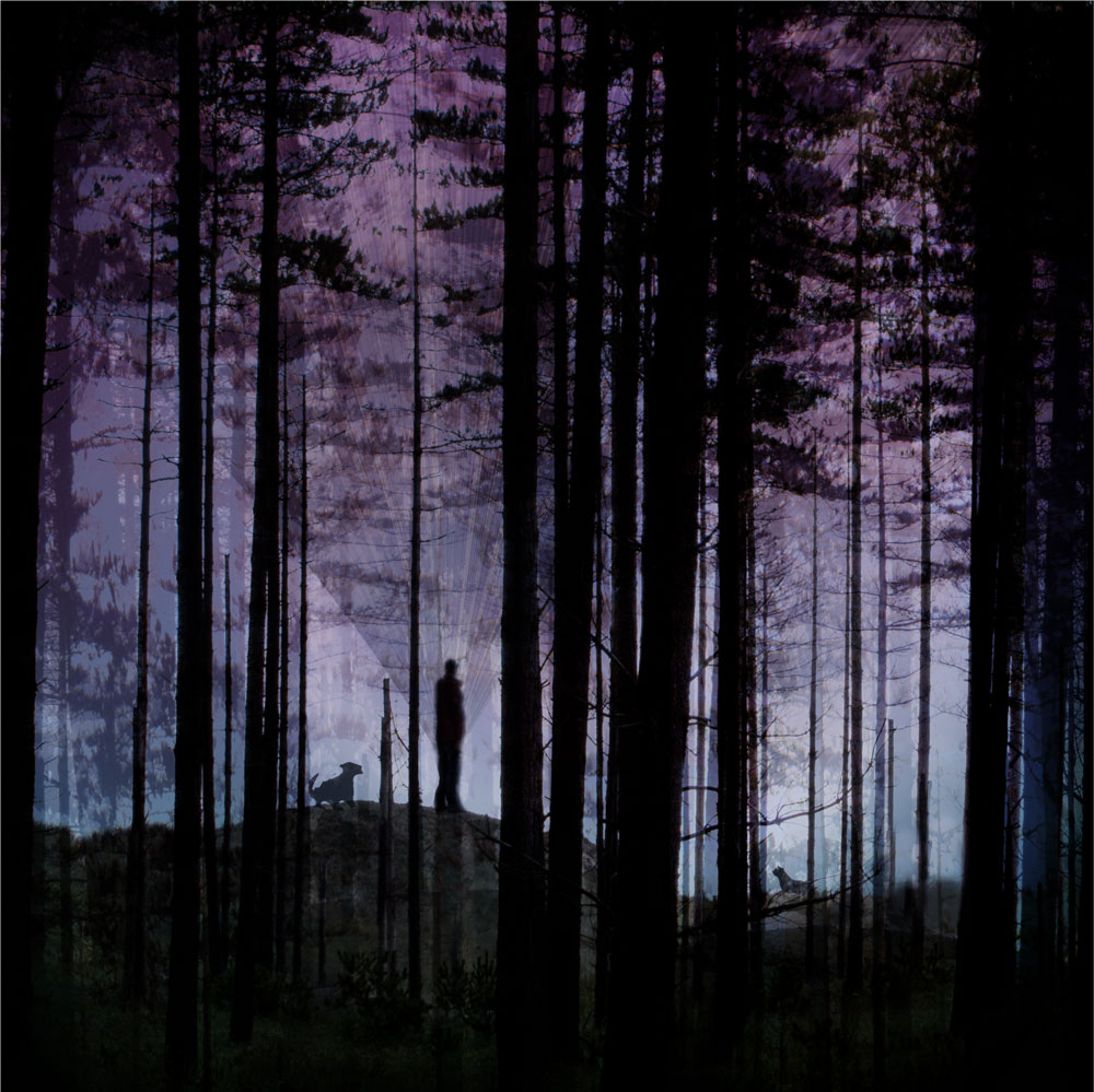 TREE GALLERY